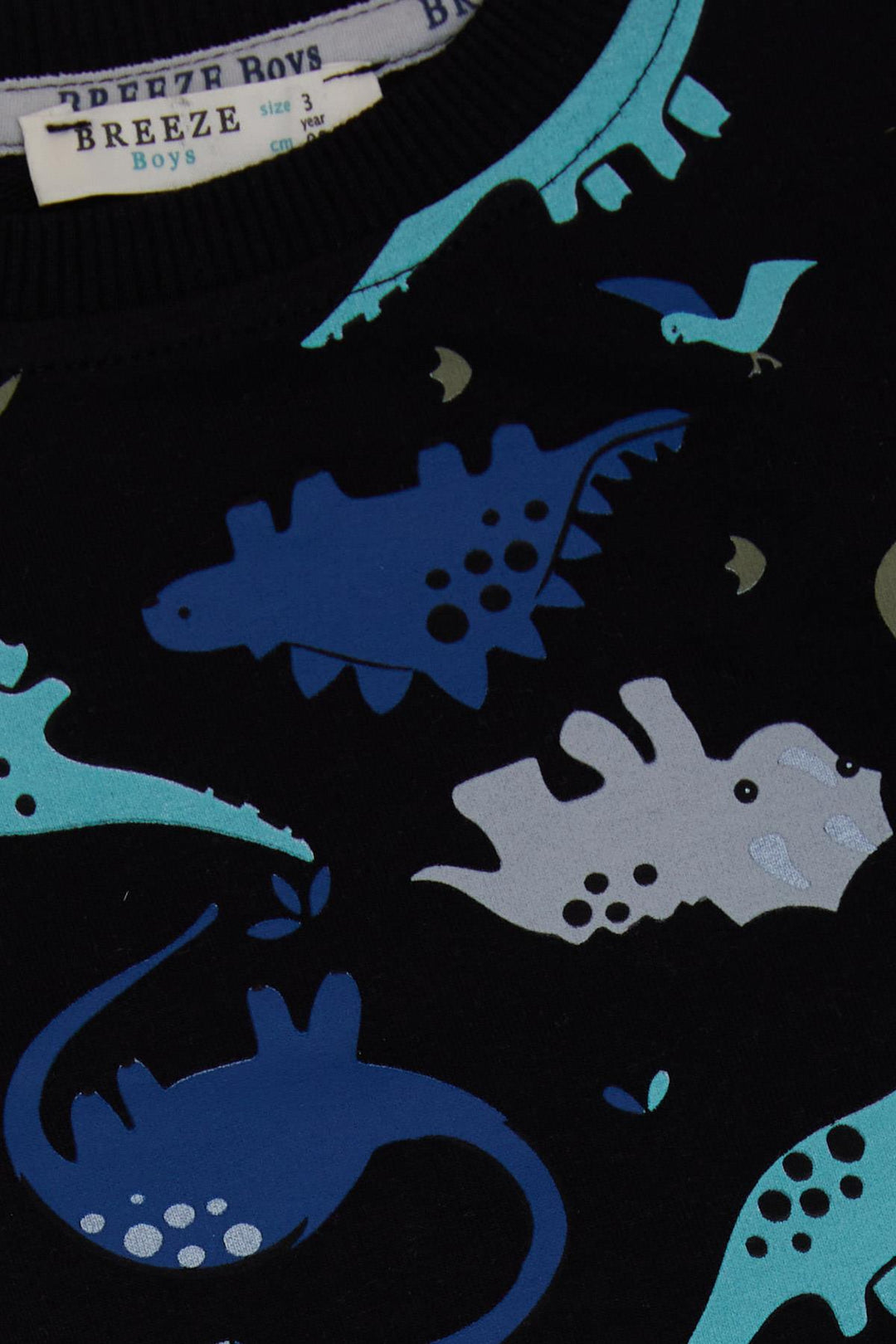 BRE Breeze Girls & Boys Boys' Tracksuit with Dinosaur Pattern, 1-4 Years, Black - Rancho Palos Verdes