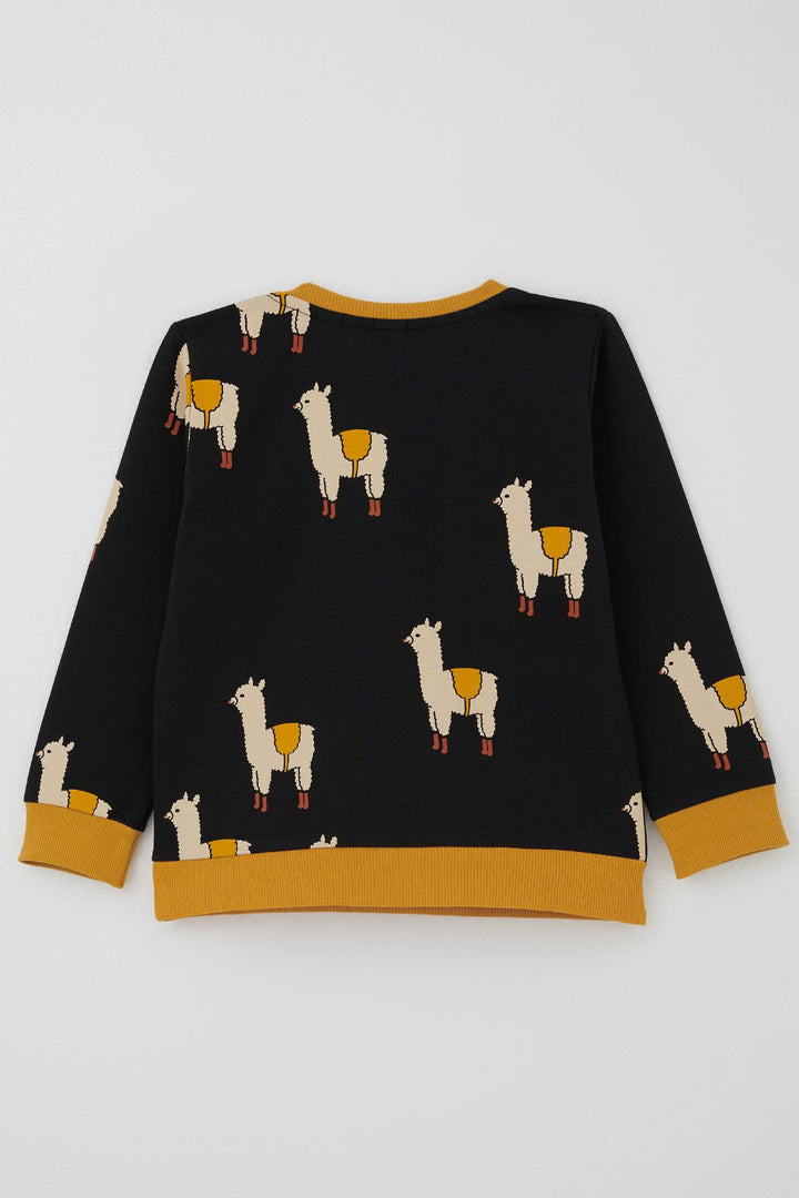 BRE Breeze Erkek Çocuk Eşofman Takımı Lama Figürlü 1.5-5 Yaş, Siyah - Chaniá