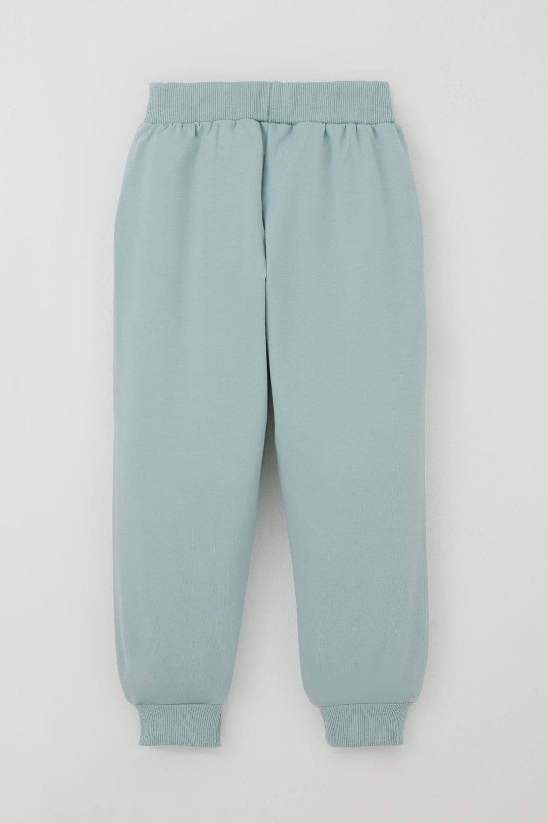 BRE Breeze Erkek Çocuk Eşofman Takımı Sevimli Kaplan Nakışlı 1-4 Yaş, Su Yeşili - Hialeah