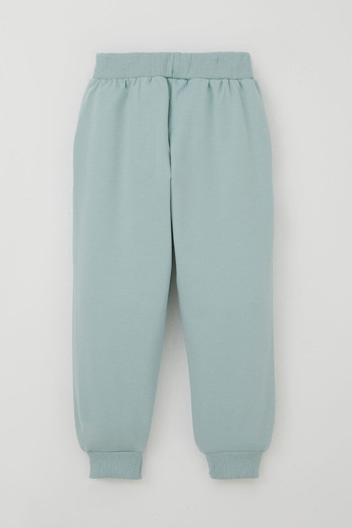 BRE Breeze Erkek Çocuk Eşofman Takımı Sevimli Kaplan Nakışlı 1-4 Yaş, Su Yeşili - Hialeah