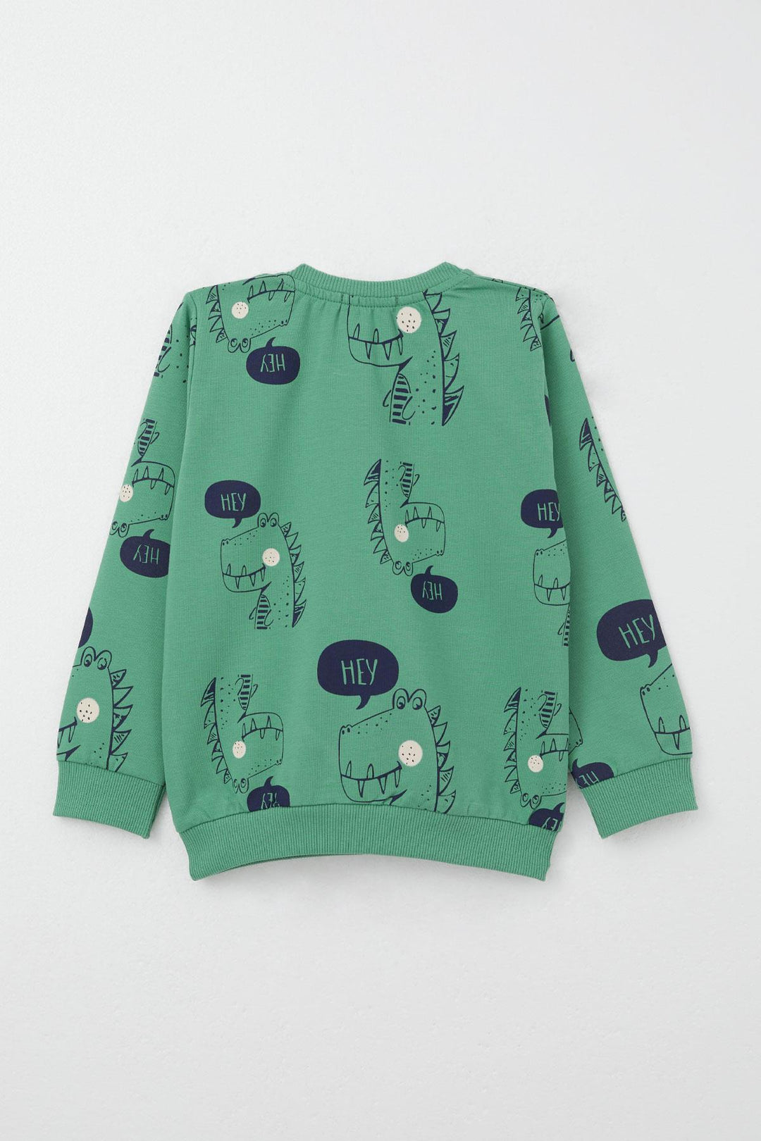 BRE Breeze Boys' Sweat Suit Cute Dinosaur Patterned 1.5-5 Years, Mint Green - Bad Oeynhausen