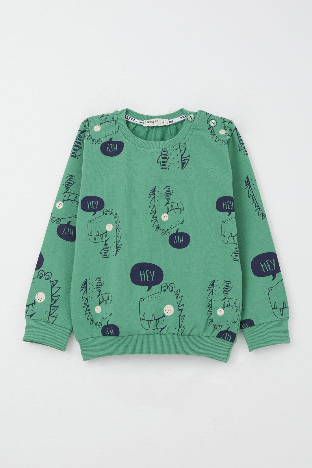 BRE Breeze Boys' Sweat Suit Cute Dinosaur Patterned 1.5-5 Years, Mint Green - Bad Oeynhausen