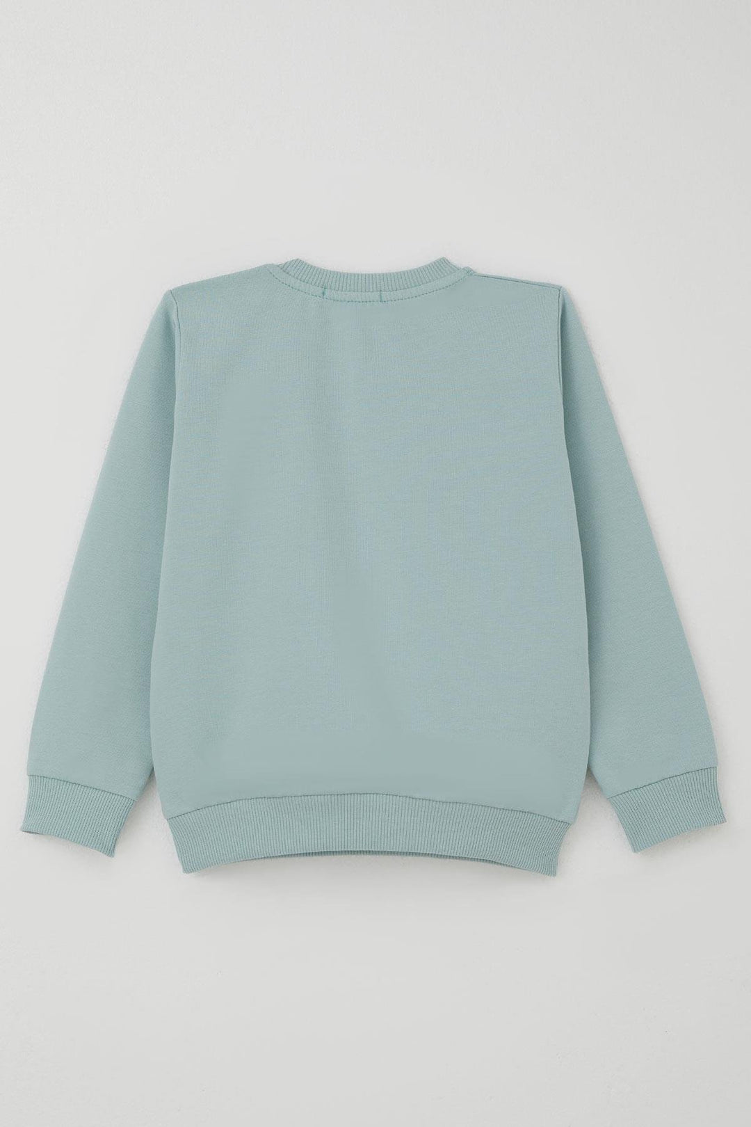 BRE Breeze Erkek Çocuk Eşofman Takımı Sevimli Kaplan Nakışlı 1-4 Yaş, Su Yeşili - Hialeah