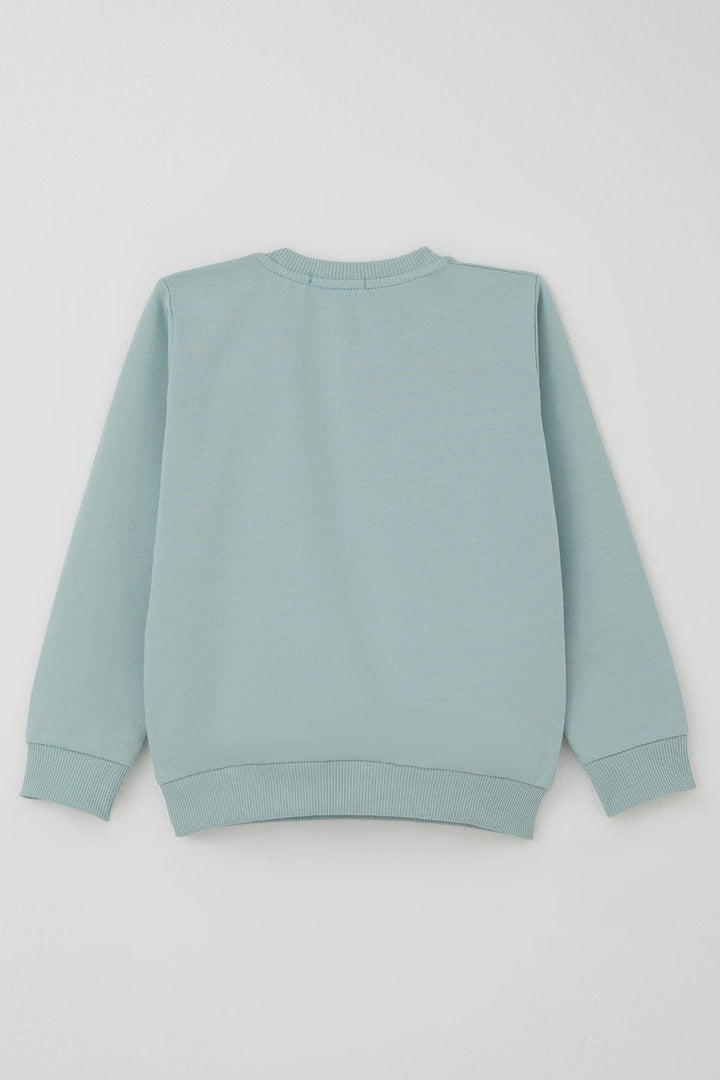 BRE Breeze Erkek Çocuk Eşofman Takımı Sevimli Kaplan Nakışlı 1-4 Yaş, Su Yeşili - Hialeah