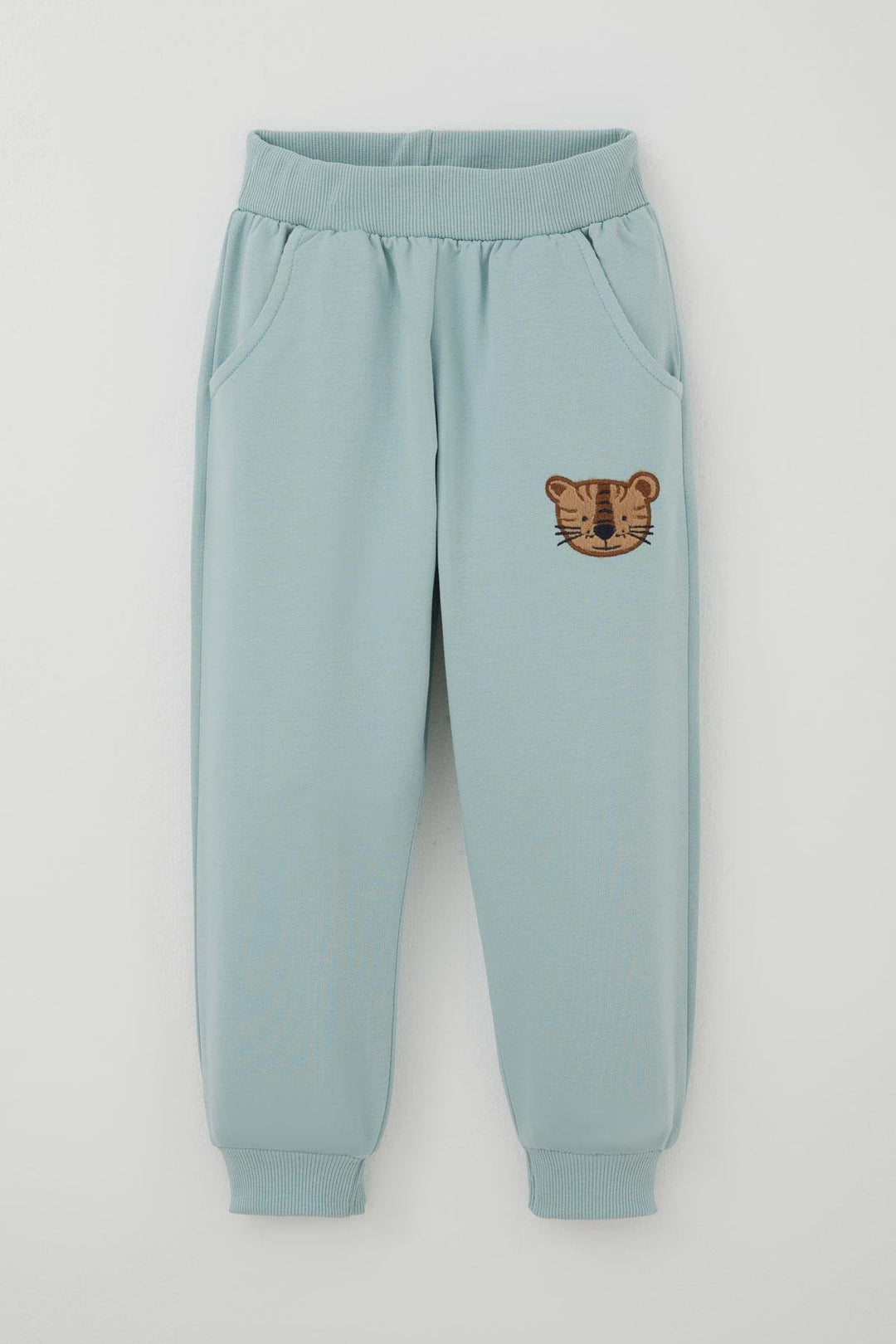 BRE Breeze Erkek Çocuk Eşofman Takımı Sevimli Kaplan Nakışlı 1-4 Yaş, Su Yeşili - Hialeah