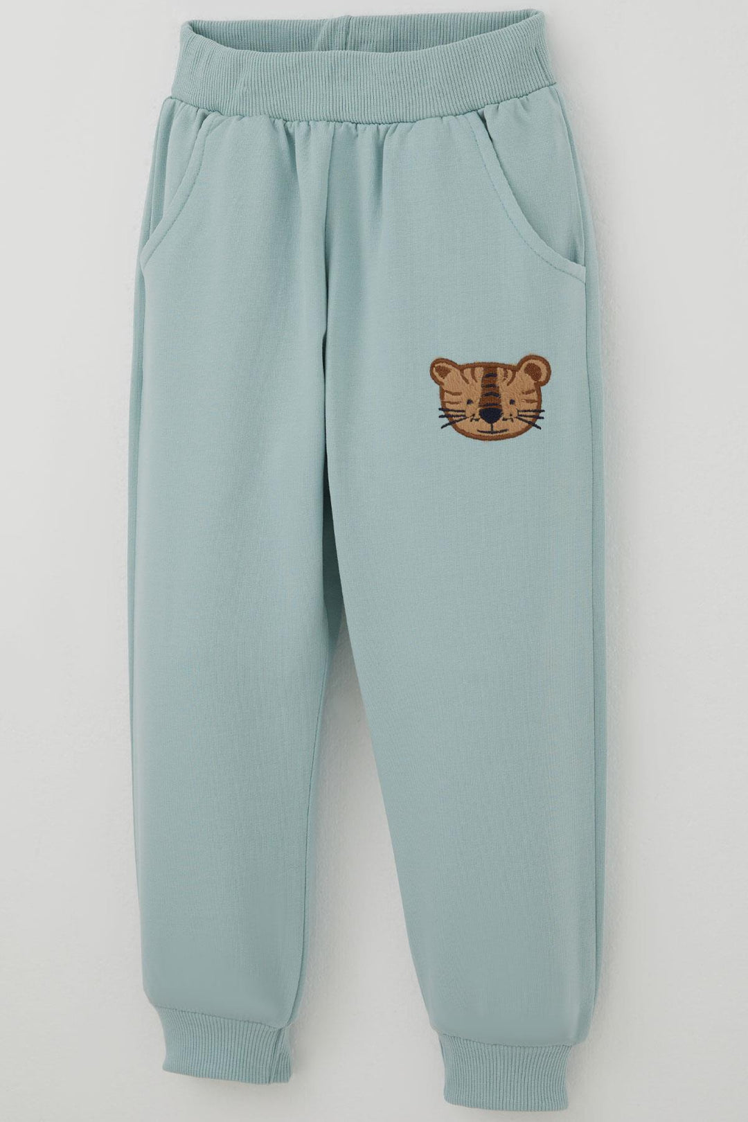 BRE Breeze Erkek Çocuk Eşofman Takımı Sevimli Kaplan Nakışlı 1-4 Yaş, Su Yeşili - Hialeah