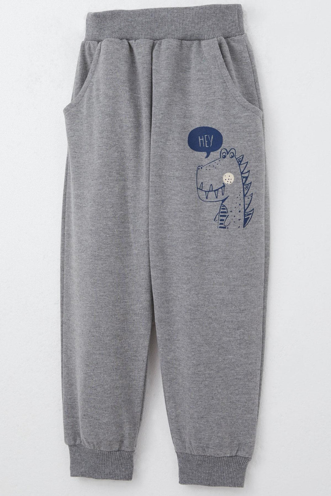 BRE Breeze Boys' Sweat Suit Cute Dinosaur Patterned 1.5-5 Years, Mint Green - Bad Oeynhausen