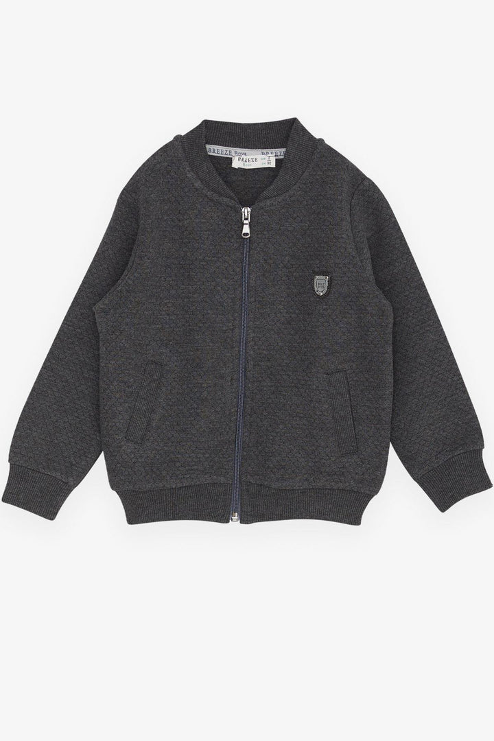BRE Breeze Boys' Cardigan Basic Pocketed Armalı 2-6 Years, Smoke Gray - Ródos