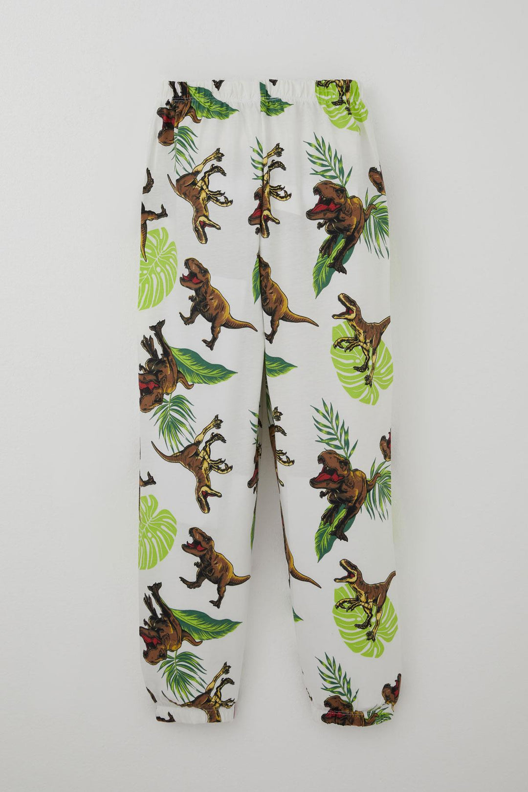 BRE Breeze Erkek Çocuk Pijama Takımı Kükreyen Orman Dinozoru 4-8 Yaş, Beyaz - Nanterre
