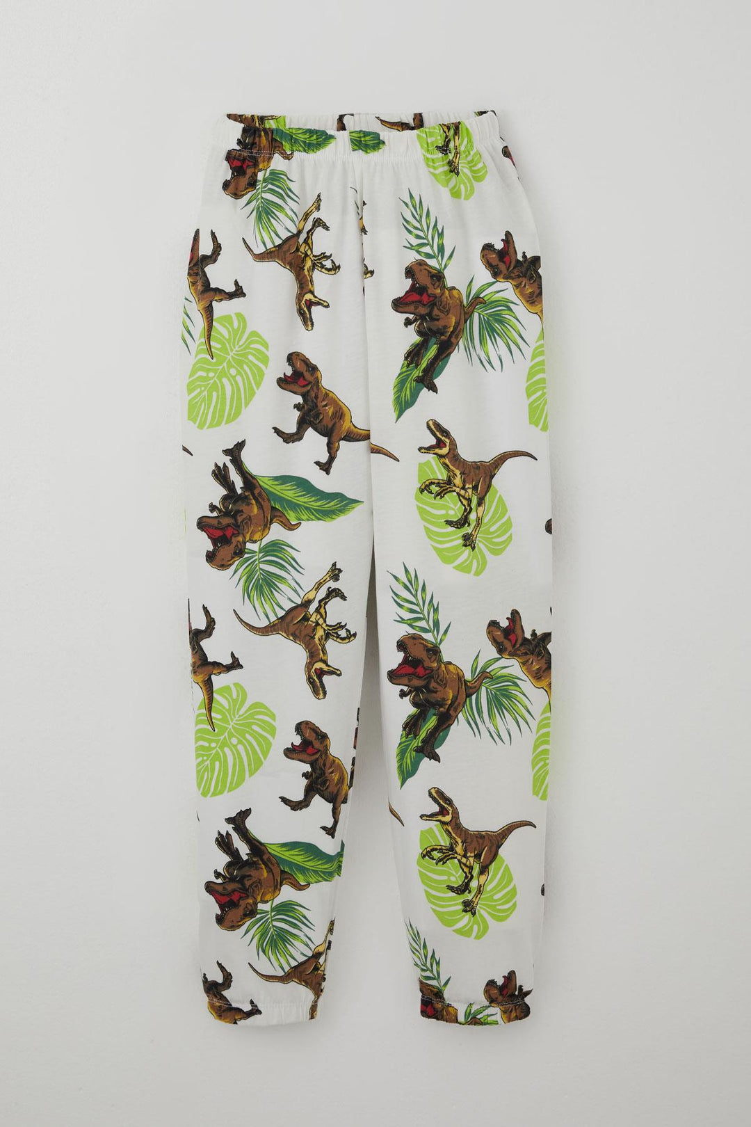 BRE Breeze Erkek Çocuk Pijama Takımı Kükreyen Orman Dinozoru 4-8 Yaş, Beyaz - Nanterre