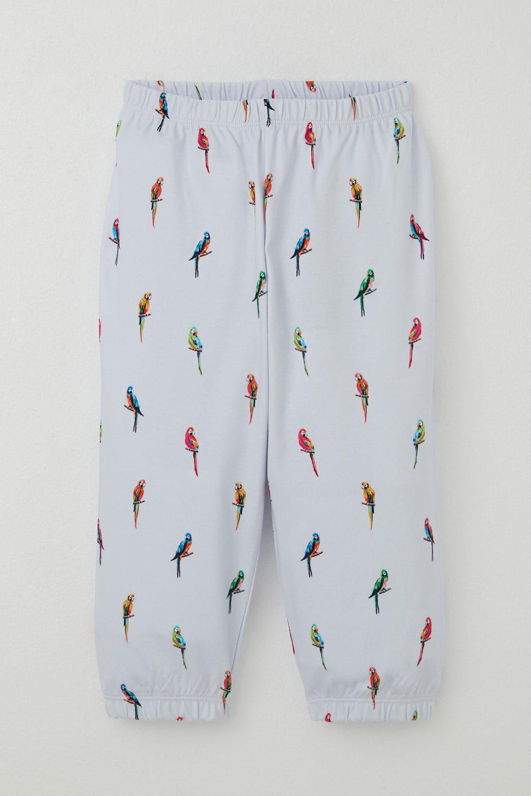 BRE Breeze Boys' Pajama Set Colorful Parrot Patterned 1-3 Years, Ice Blue - Lower Paxton