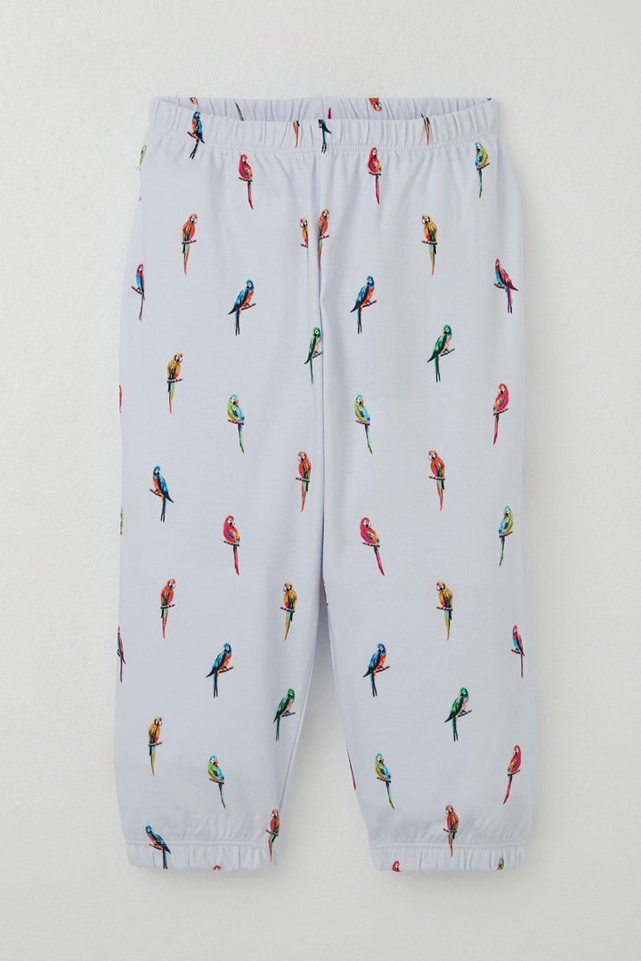 BRE Breeze Boys' Pajama Set Colorful Parrot Patterned 1-3 Years, Ice Blue - Lower Paxton