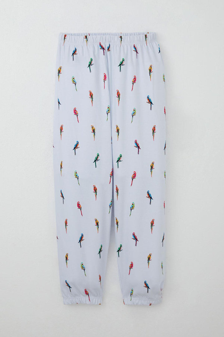 BRE Breeze Boys' Pajama Set Colorful Parrot Patterned 4-8 Years, Ice Blue - Fremont