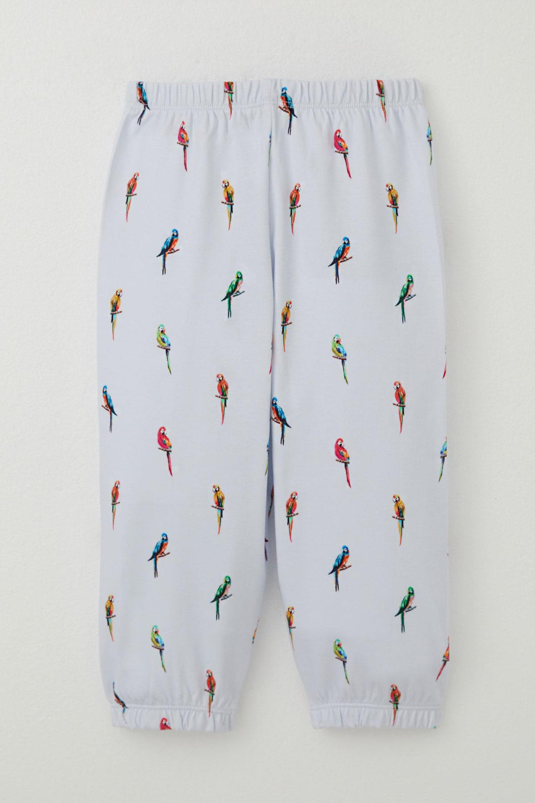 BRE Breeze Boys' Pajama Set Colorful Parrot Patterned 1-3 Years, Ice Blue - Lower Paxton