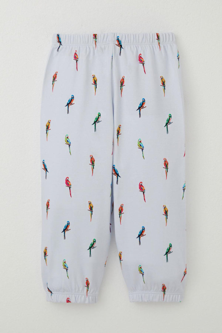 BRE Breeze Boys' Pajama Set Colorful Parrot Patterned 1-3 Years, Ice Blue - Lower Paxton