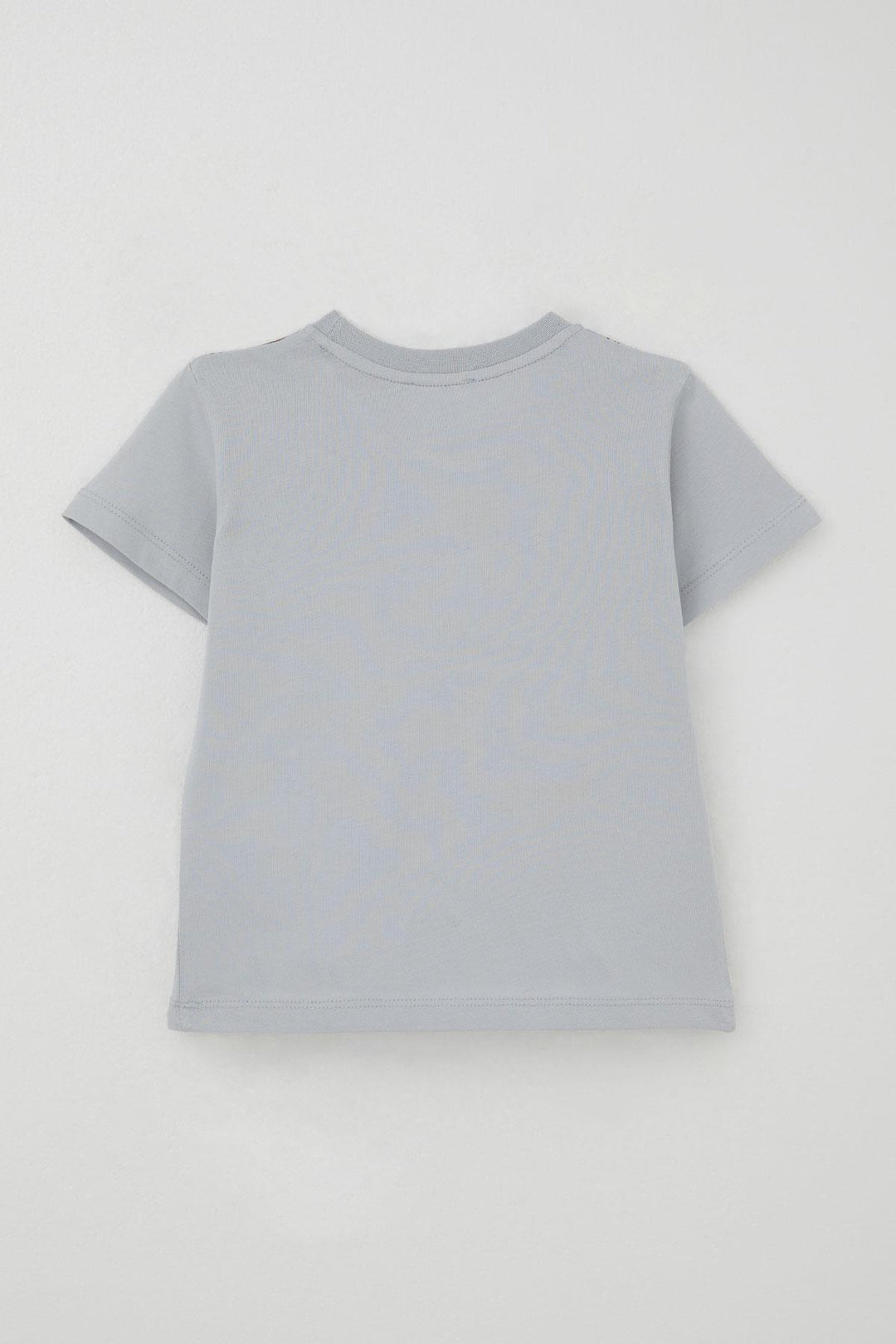 BRE Breeze Erkek Çocuk Şortlu Takım Güçlü Dinozorlar Baskılı 3-8 Yaş, Gri - Marino