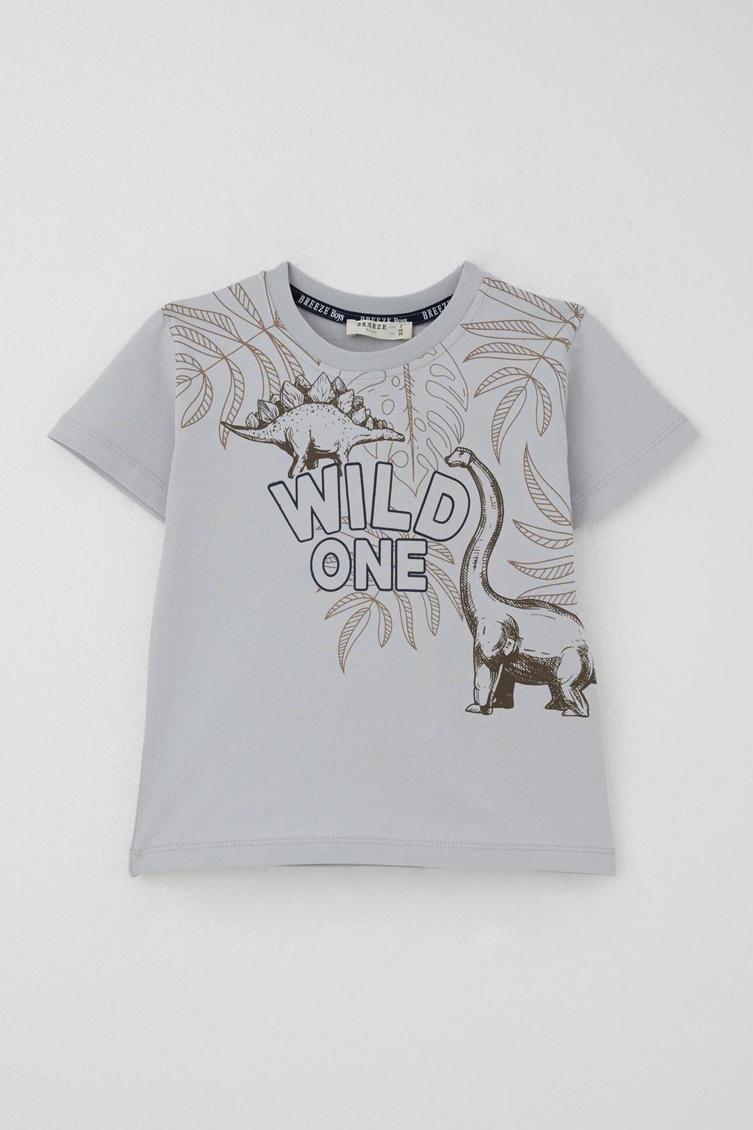 BRE Breeze Erkek Çocuk Şortlu Takım Güçlü Dinozorlar Baskılı 3-8 Yaş, Gri - Marino