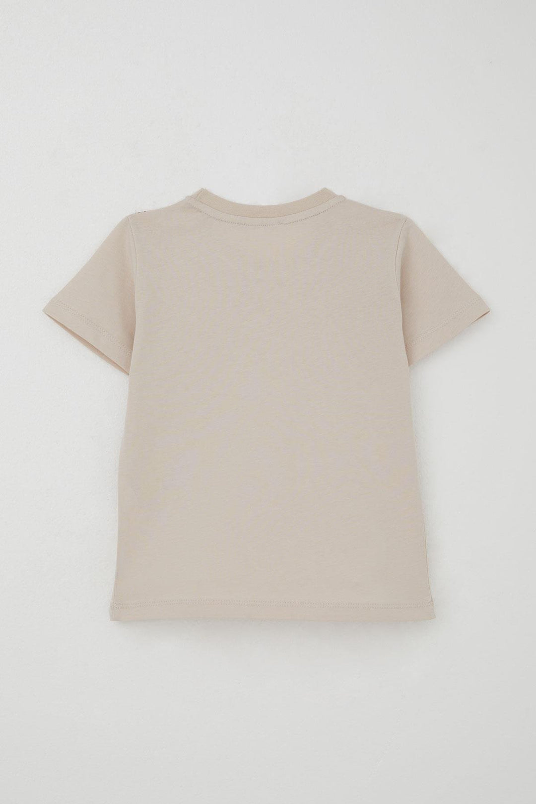 BRE Breeze Erkek Çocuk Şortlu Takım Güçlü Dinozorlar Baskılı 3-8 Yaş, Bej - Guacharachi