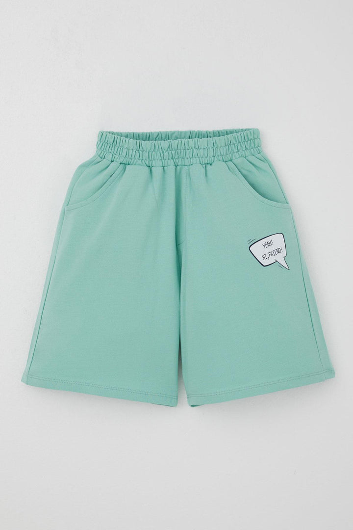 BRE Breeze Erkek Çocuk Şortlu Takım Jetski Tutkunu Havalı Dinozor Baskılı 5-9 Yaş, Açık Gri Melanj - Santa Cruz