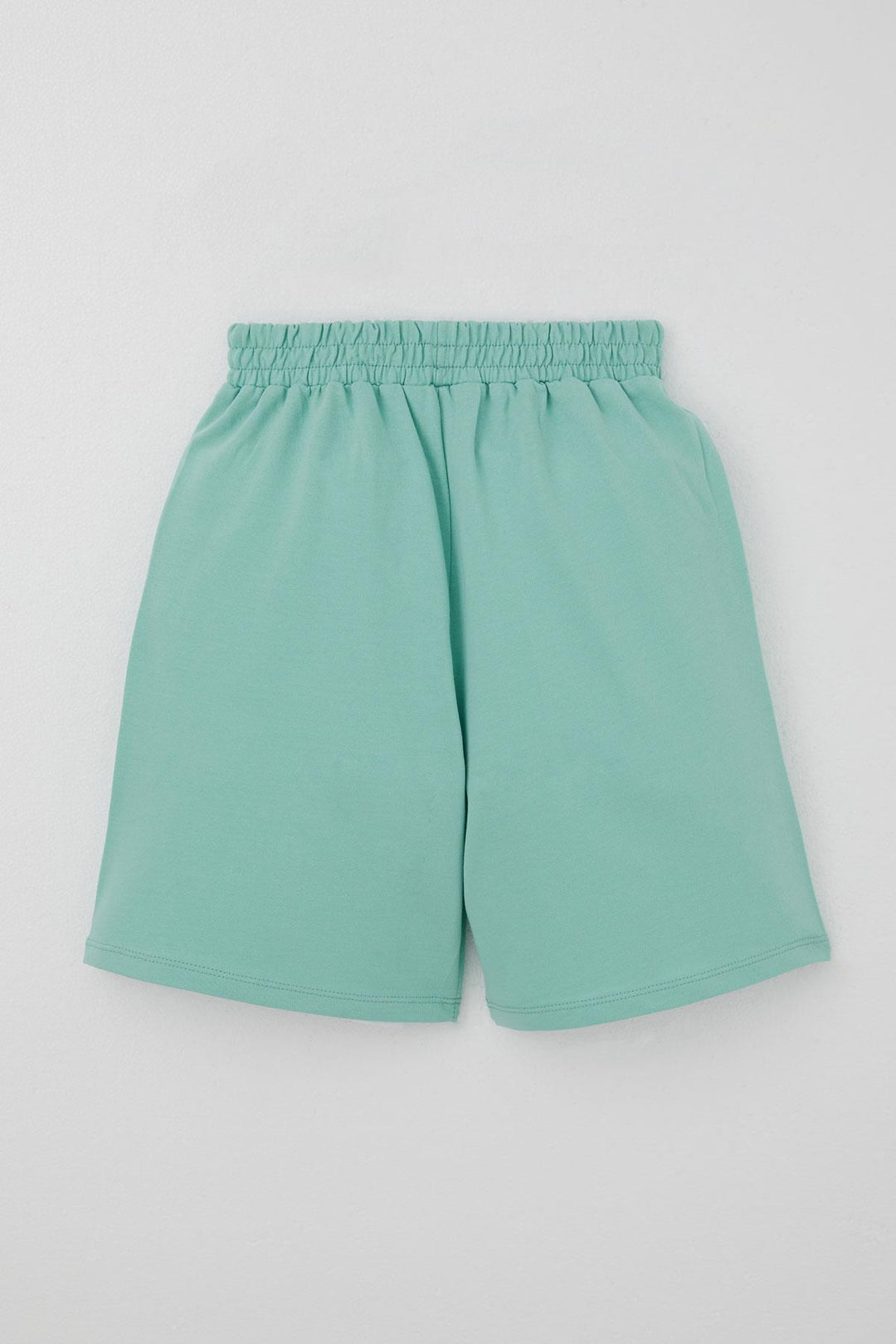 BRE Breeze Erkek Çocuk Şortlu Takım Jetski Tutkunu Havalı Dinozor Baskılı 5-9 Yaş, Açık Gri Melanj - Santa Cruz