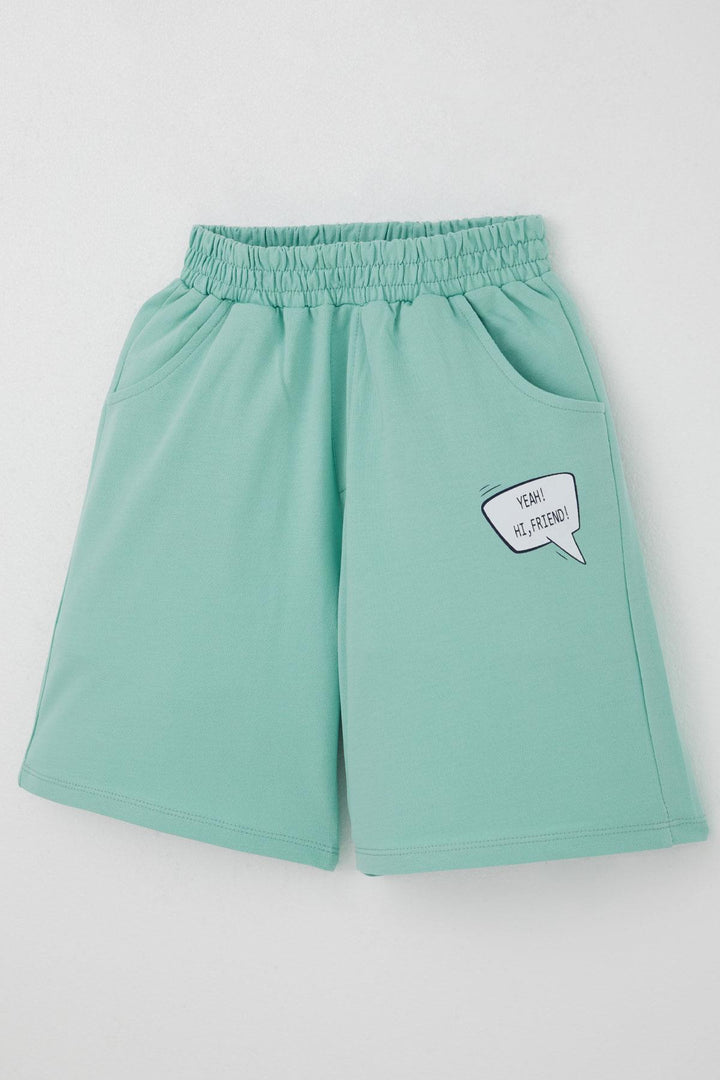 BRE Breeze Erkek Çocuk Şortlu Takım Jetski Tutkunu Havalı Dinozor Baskılı 5-9 Yaş, Açık Gri Melanj - Santa Cruz