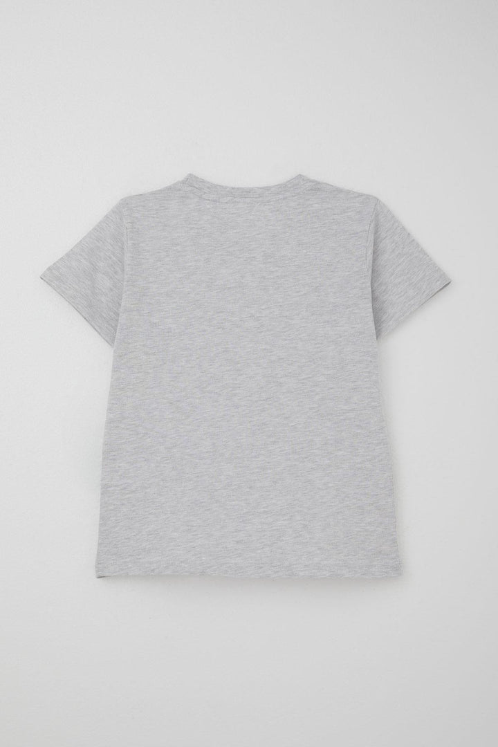 BRE Breeze Erkek Çocuk Şortlu Takım Jetski Tutkunu Havalı Dinozor Baskılı 5-9 Yaş, Açık Gri Melanj - Santa Cruz