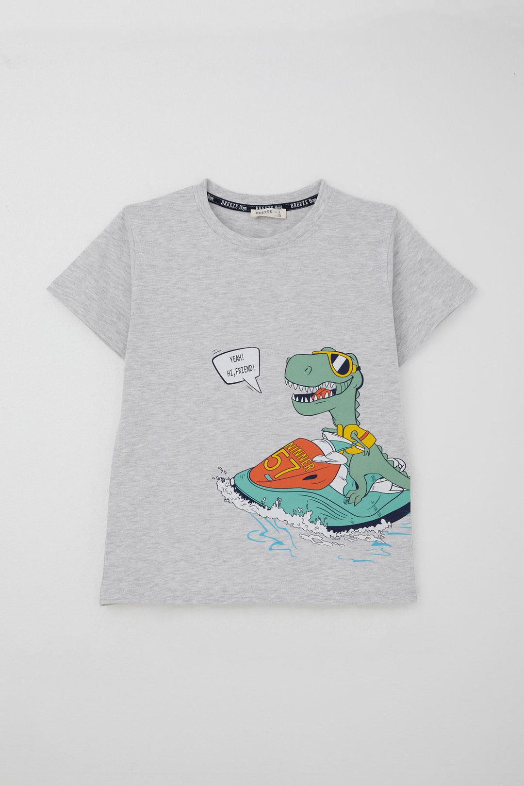 BRE Breeze Erkek Çocuk Şortlu Takım Jetski Tutkunu Havalı Dinozor Baskılı 5-9 Yaş, Açık Gri Melanj - Santa Cruz