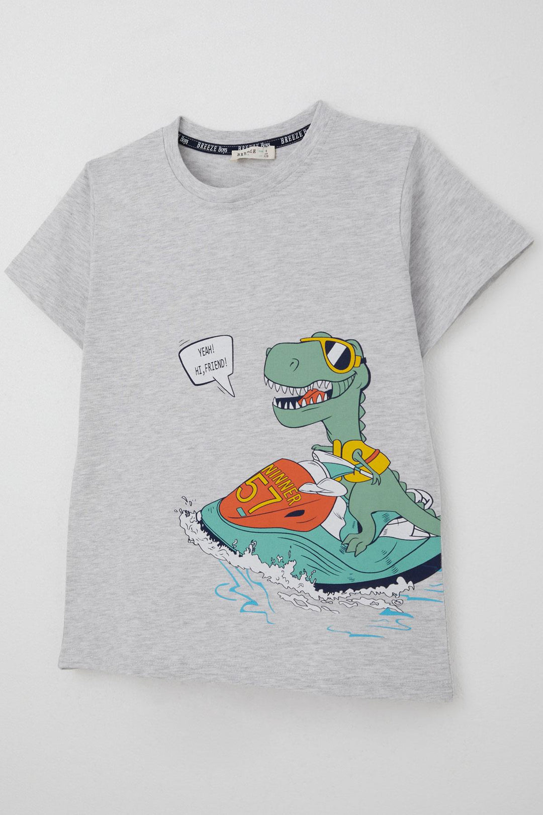 BRE Breeze Erkek Çocuk Şortlu Takım Jetski Tutkunu Havalı Dinozor Baskılı 5-9 Yaş, Açık Gri Melanj - Santa Cruz