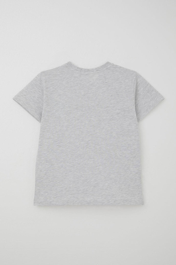 BRE Breeze Boys' Shorts Set Embossed Printed 72 Years, Light Grey Melange - Lebanon