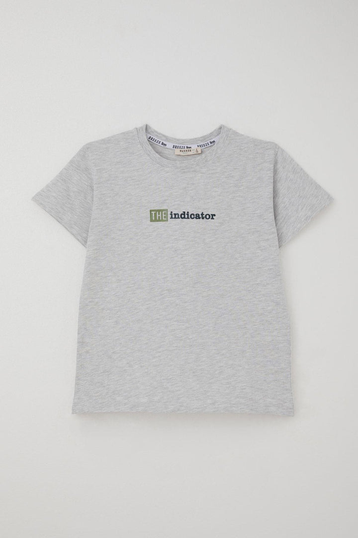 BRE Breeze Boys' Shorts Set Embossed Printed 72 Years, Light Grey Melange - Lebanon