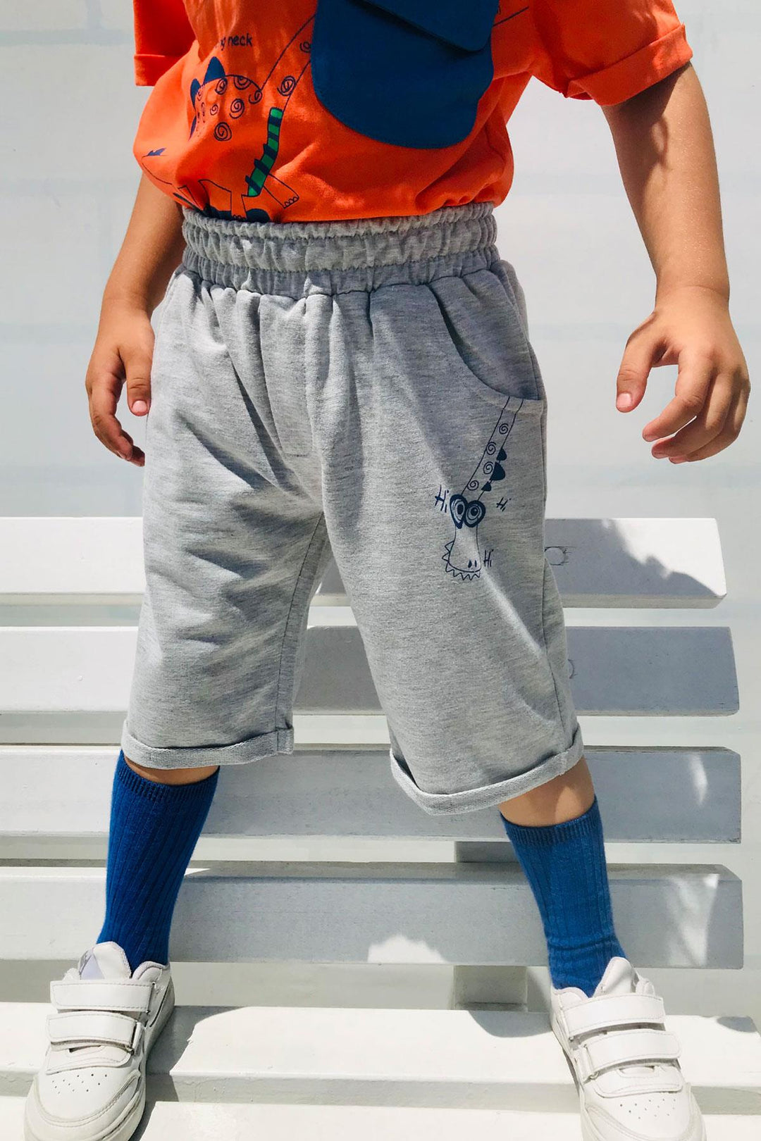 BRE Breeze Erkek Çocuk Şortlu Takım Kaykaycı Dinozor Baskılı Cep Kısmı Kapak Detaylı 2-6 Yaş, Kiremit - Katwijk