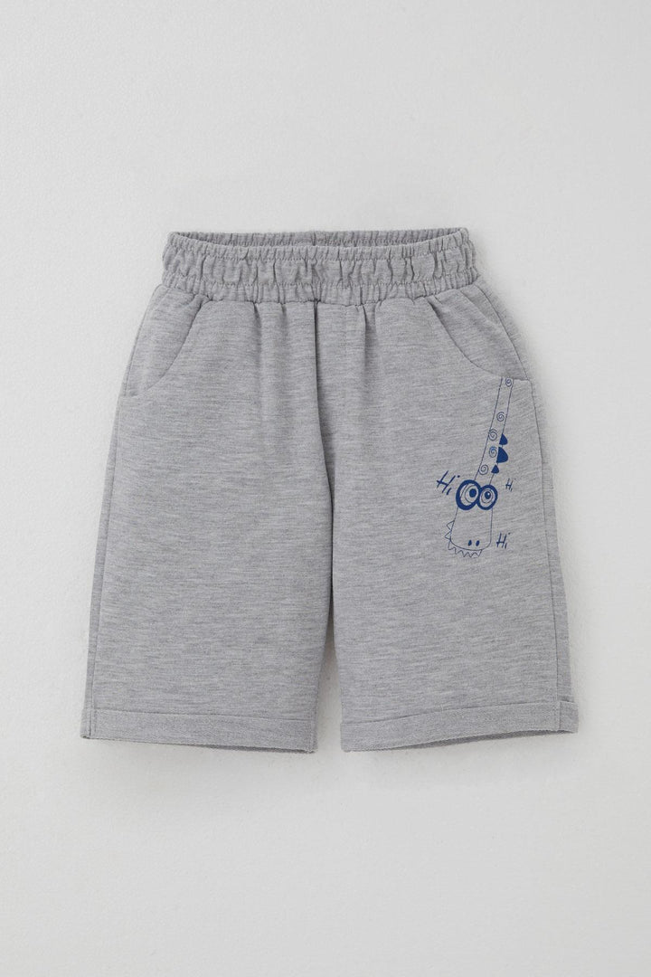 BRE Breeze Erkek Çocuk Şortlu Takım Kaykaycı Dinozor Baskılı Cep Kısmı Kapak Detaylı 2-6 Yaş, Kiremit - Katwijk