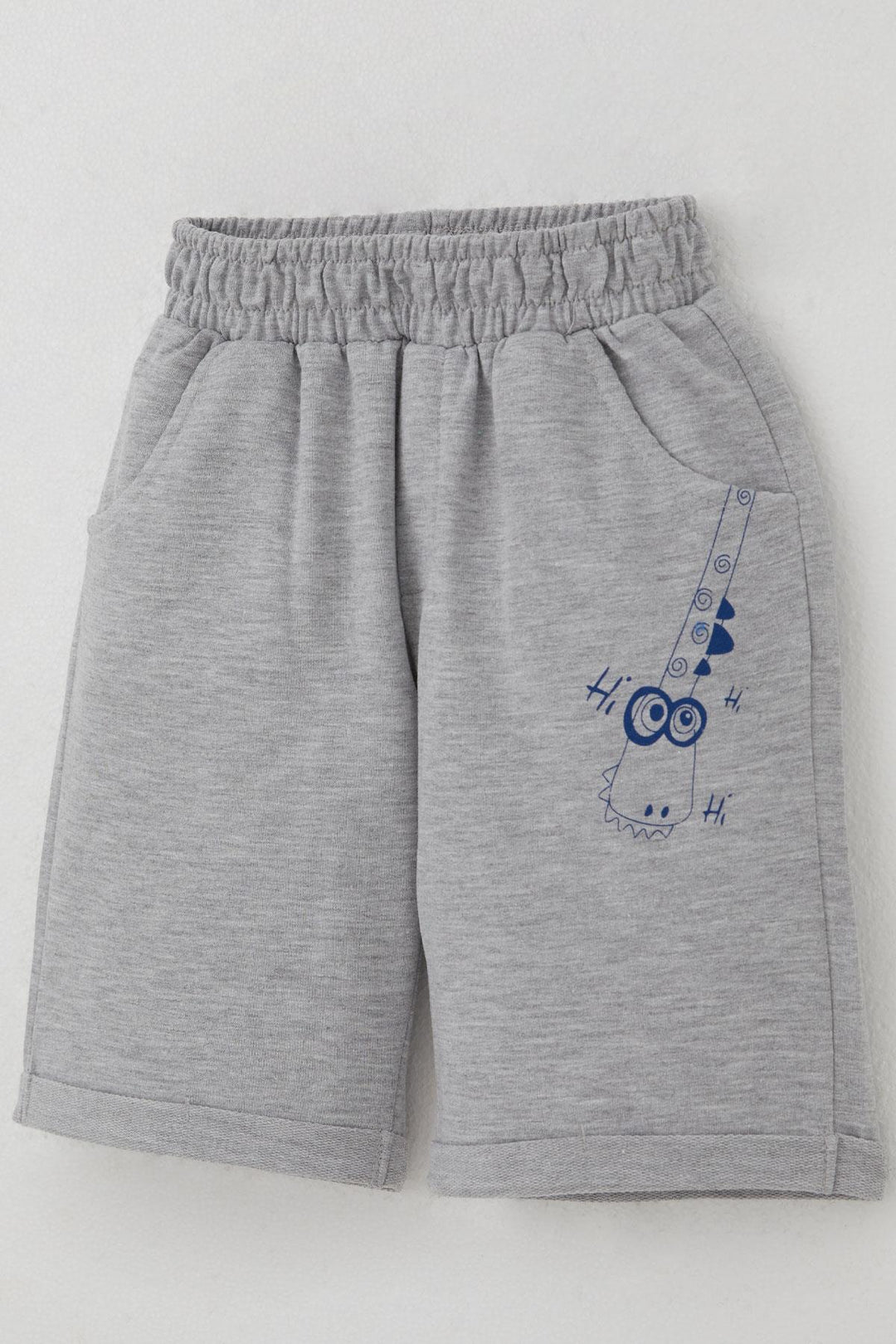 BRE Breeze Erkek Çocuk Şortlu Takım Kaykaycı Dinozor Baskılı Cep Kısmı Kapak Detaylı 2-6 Yaş, Kiremit - Katwijk