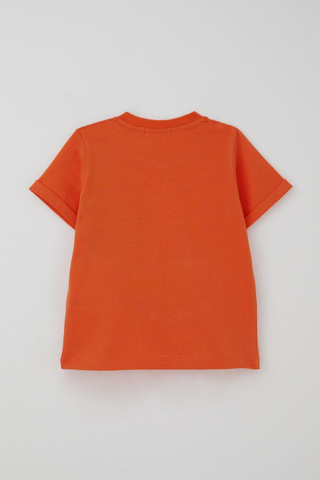 BRE Breeze Erkek Çocuk Şortlu Takım Kaykaycı Dinozor Baskılı Cep Kısmı Kapak Detaylı 2-6 Yaş, Kiremit - Katwijk