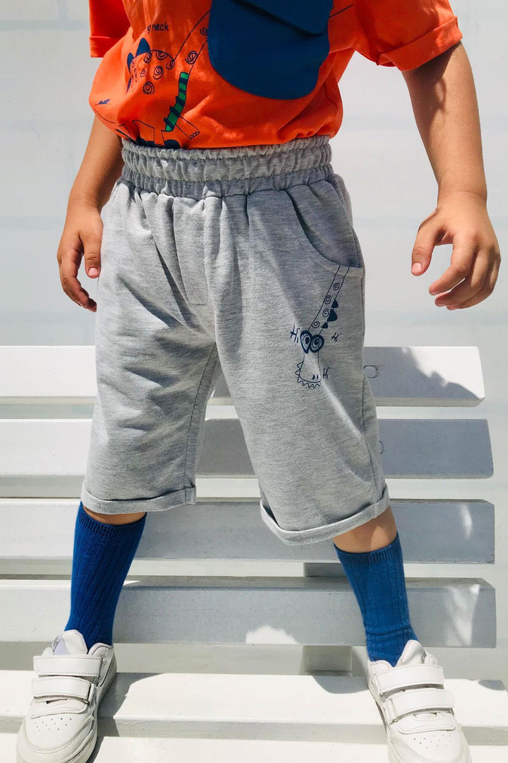 BRE Breeze Erkek Çocuk Şortlu Takım Kaykaycı Dinozor Baskılı Cep Kısmı Kapak Detaylı 2-6 Yaş, Kiremit - Katwijk