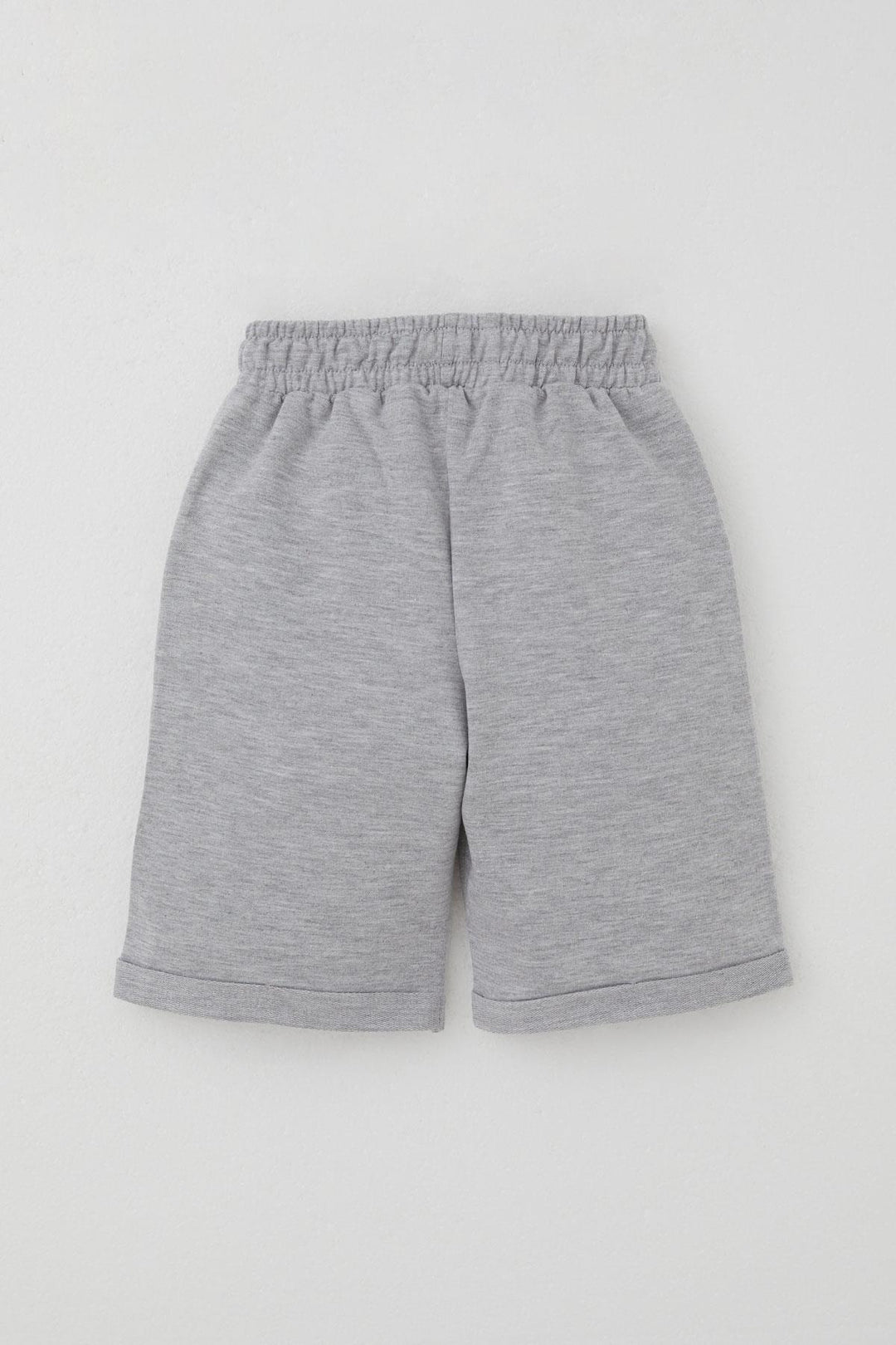 BRE Breeze Erkek Çocuk Şortlu Takım Kaykaycı Dinozor Baskılı Cep Kısmı Kapak Detaylı 2-6 Yaş, Kiremit - Katwijk