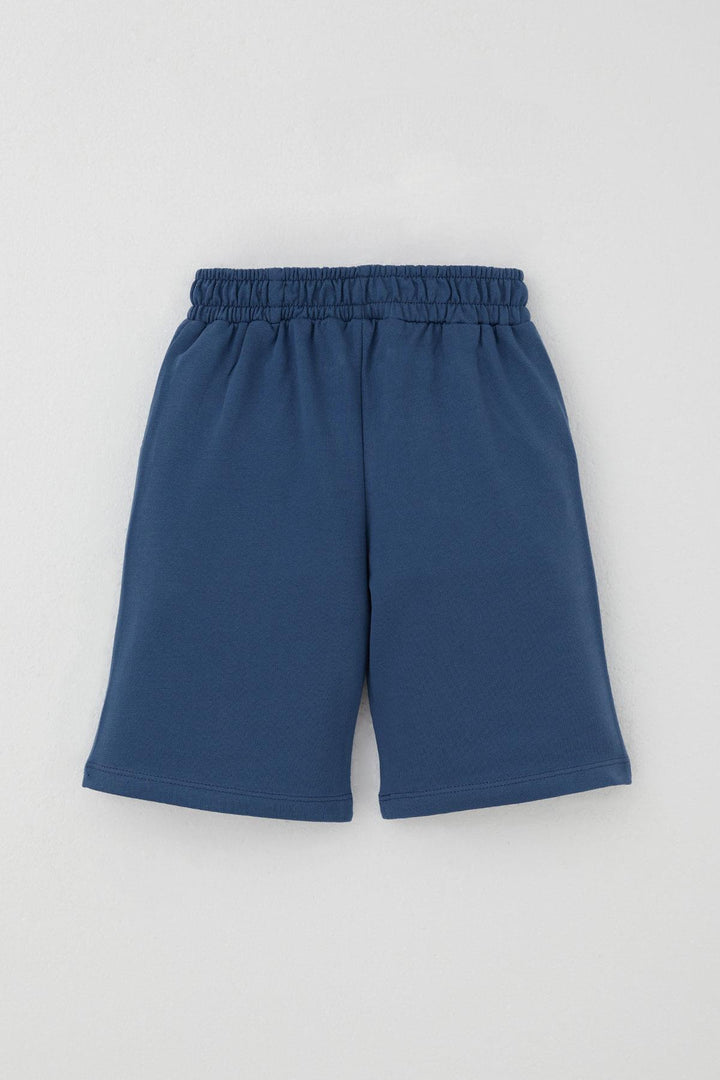 BRE Breeze Boys' Shorts Set Console King Player Dinosaur Printed 2-6 Years, Light Blue - Clarington