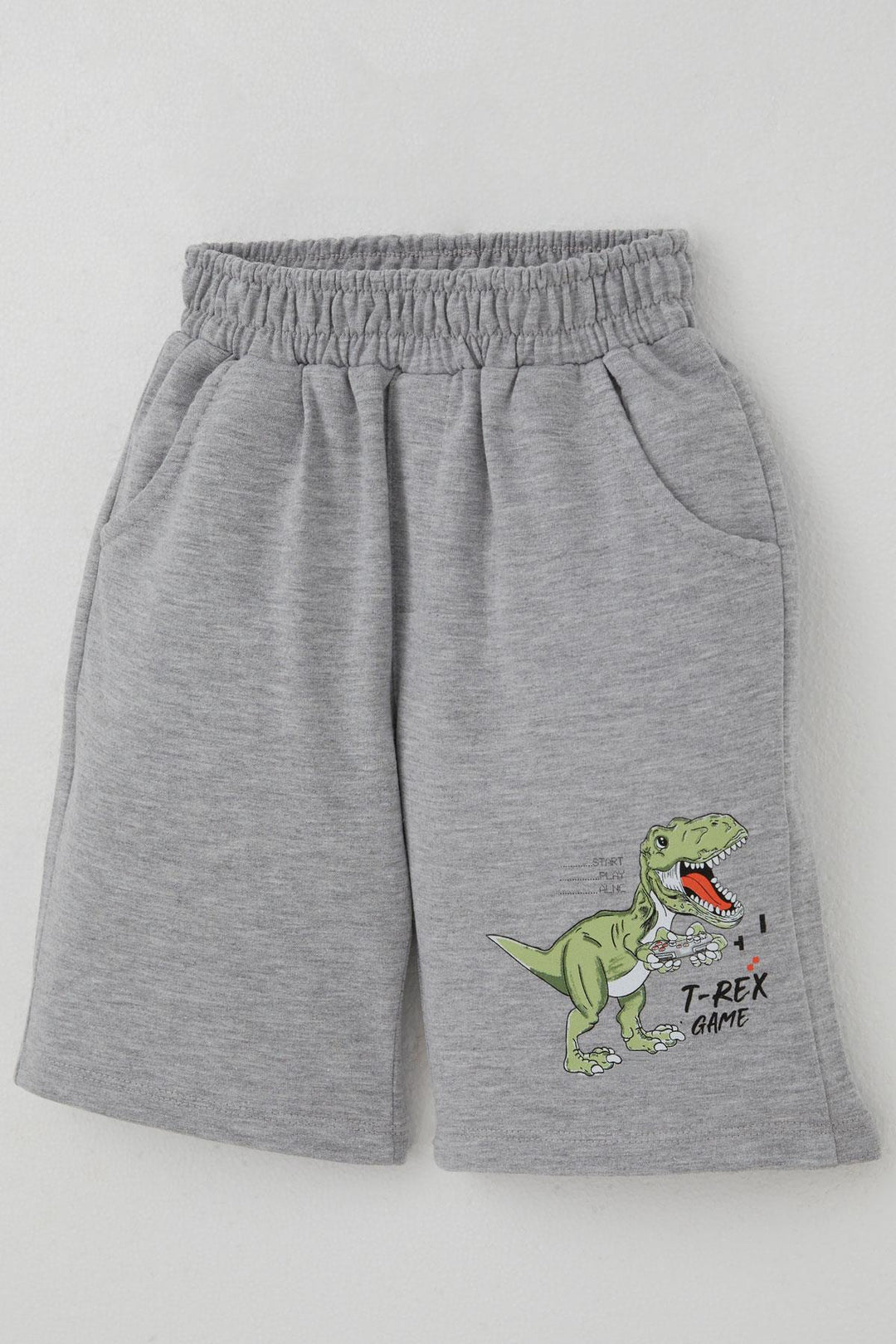 BRE Breeze Boys' Shorts Set Console King Player Dinosaur Printed 2-6 Years, Aqua Green - Iormughanlo