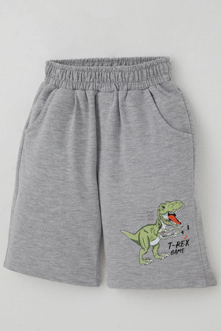 BRE Breeze Boys' Shorts Set Console King Player Dinosaur Printed 2-6 Years, Aqua Green - Iormughanlo