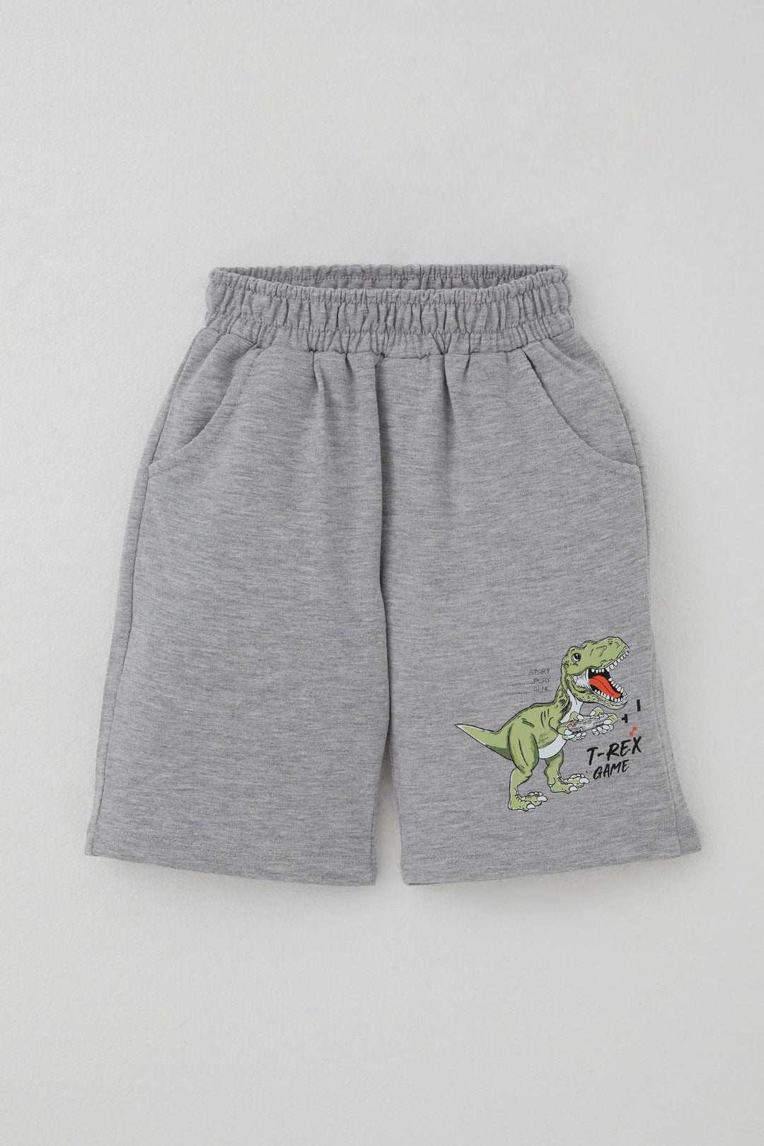 BRE Breeze Boys' Shorts Set Console King Player Dinosaur Printed 2-6 Years, Aqua Green - Iormughanlo