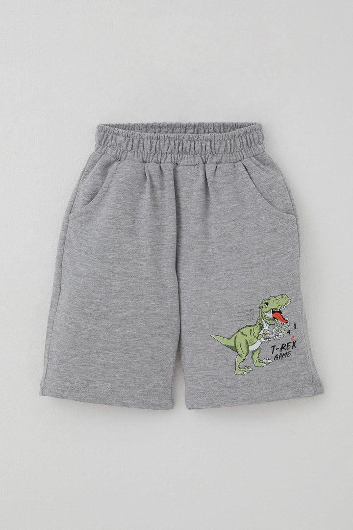 BRE Breeze Boys' Shorts Set Console King Player Dinosaur Printed 2-6 Years, Aqua Green - Iormughanlo