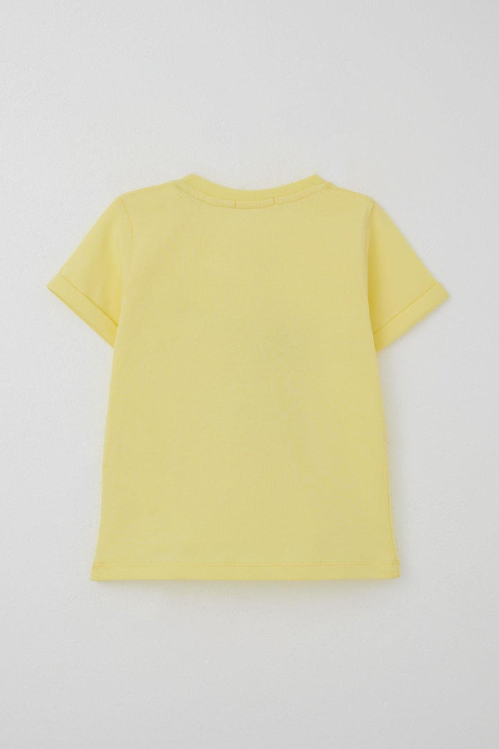 BRE Breeze Boys' Shorts Set with Dinosaur Print Performing Skating, 1-4 Years, Yellow - Huelva