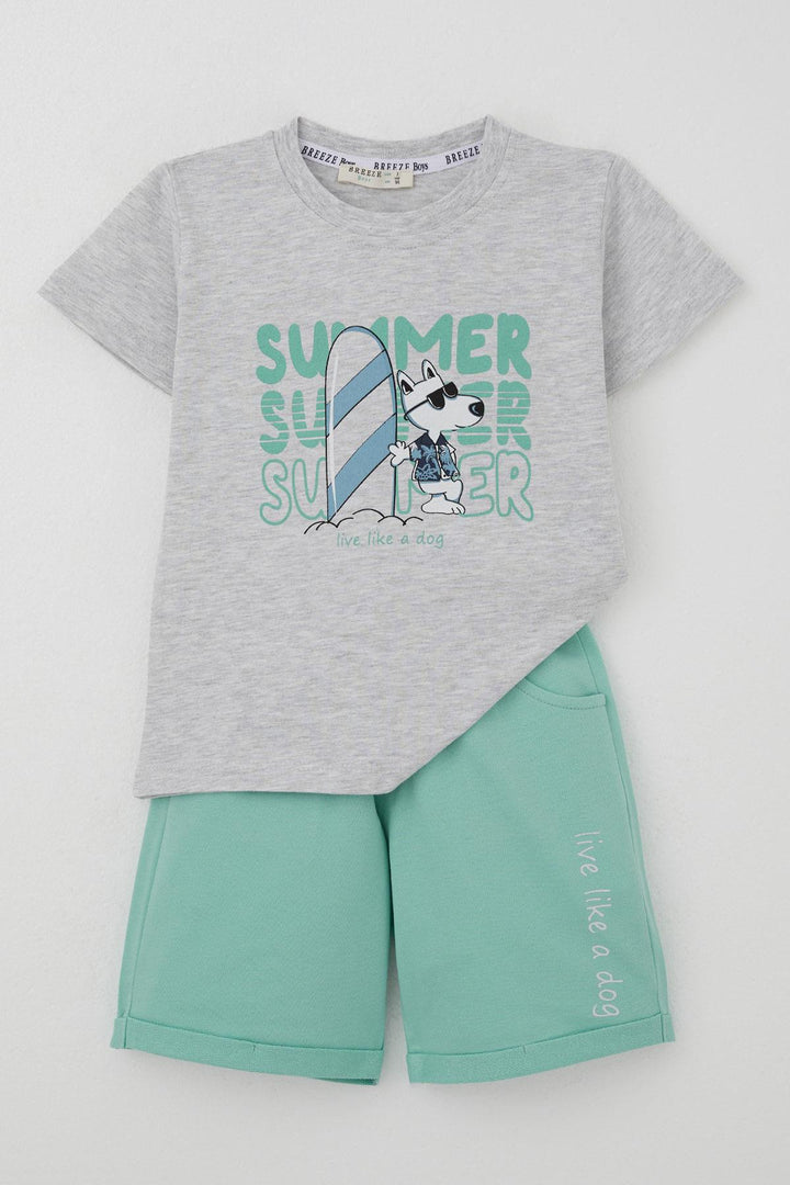 BRE Breeze Erkek Çocuk Şortlu Takım Yaz Temalı Sörfçü Köpekçik Baskılı 2-6 Yaş, Açık Gri Melanj - Tepatitlán de Morelos