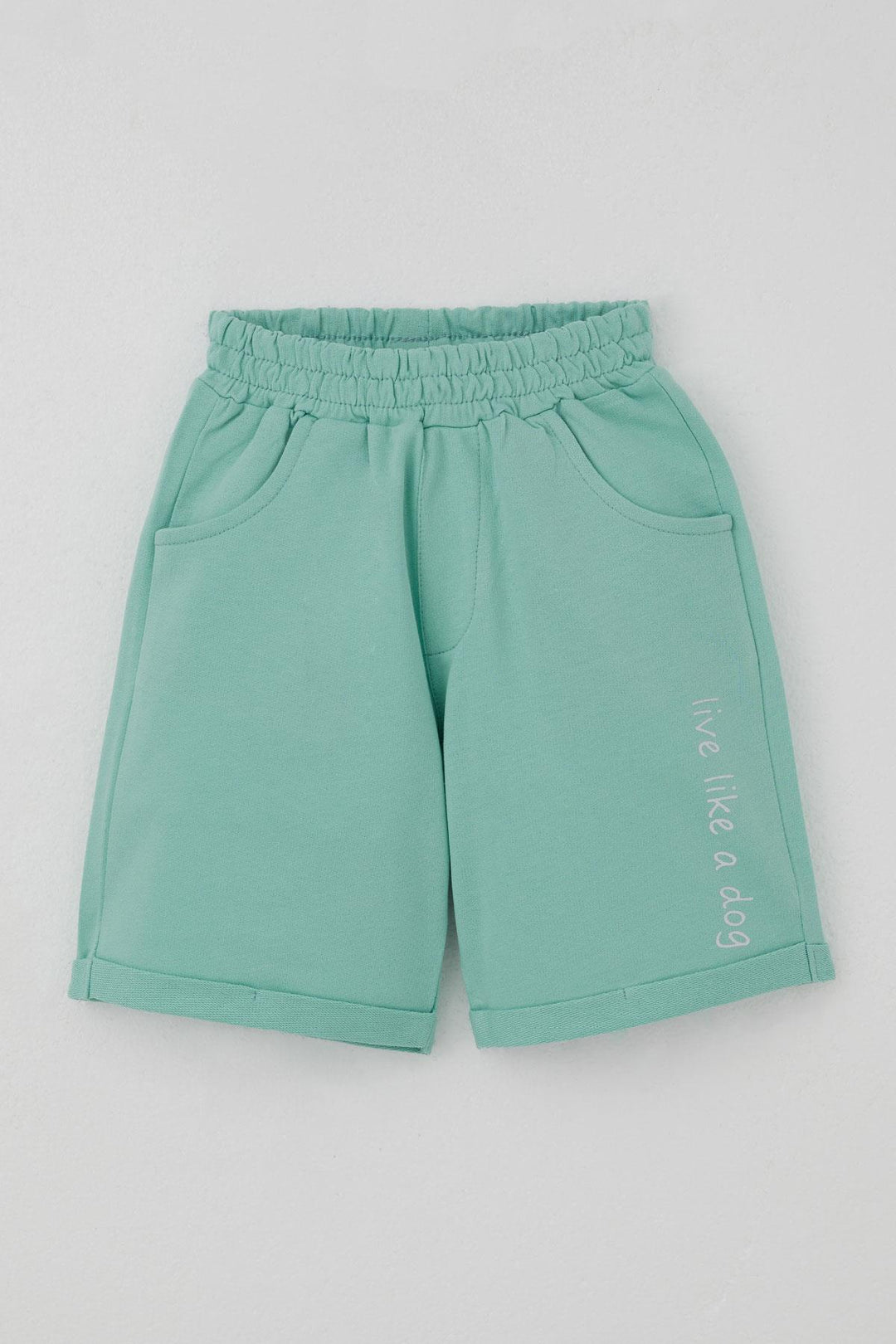 BRE Breeze Erkek Çocuk Şortlu Takım Yaz Temalı Sörfçü Köpekçik Baskılı 2-6 Yaş, Açık Gri Melanj - Tepatitlán de Morelos