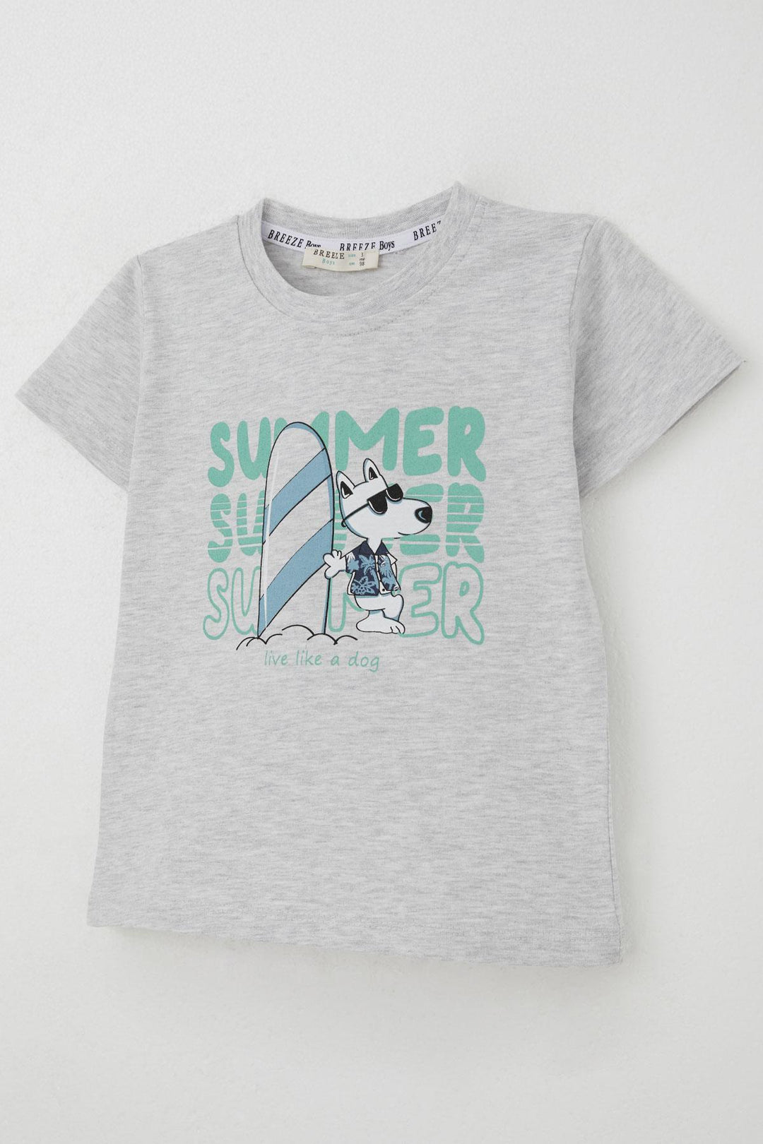 BRE Breeze Erkek Çocuk Şortlu Takım Yaz Temalı Sörfçü Köpekçik Baskılı 2-6 Yaş, Açık Gri Melanj - Tepatitlán de Morelos