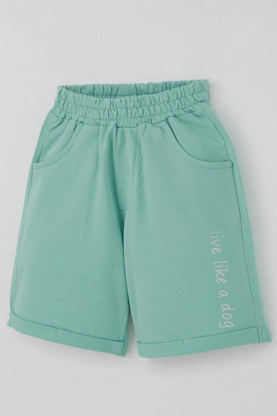 BRE Breeze Erkek Çocuk Şortlu Takım Yaz Temalı Sörfçü Köpekçik Baskılı 2-6 Yaş, Açık Gri Melanj - Tepatitlán de Morelos