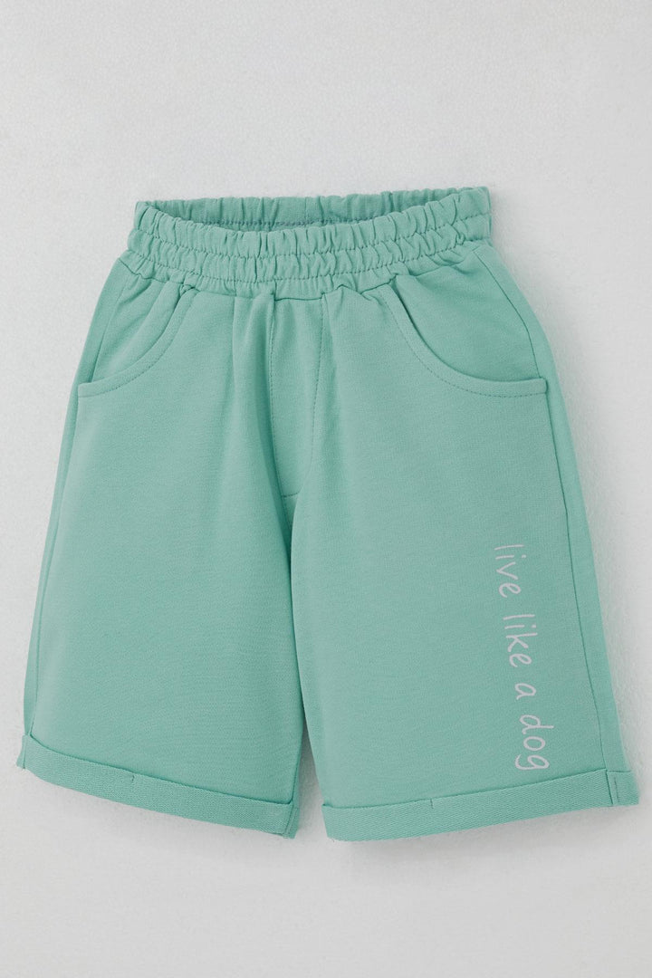 BRE Breeze Erkek Çocuk Şortlu Takım Yaz Temalı Sörfçü Köpekçik Baskılı 2-6 Yaş, Açık Gri Melanj - Tepatitlán de Morelos