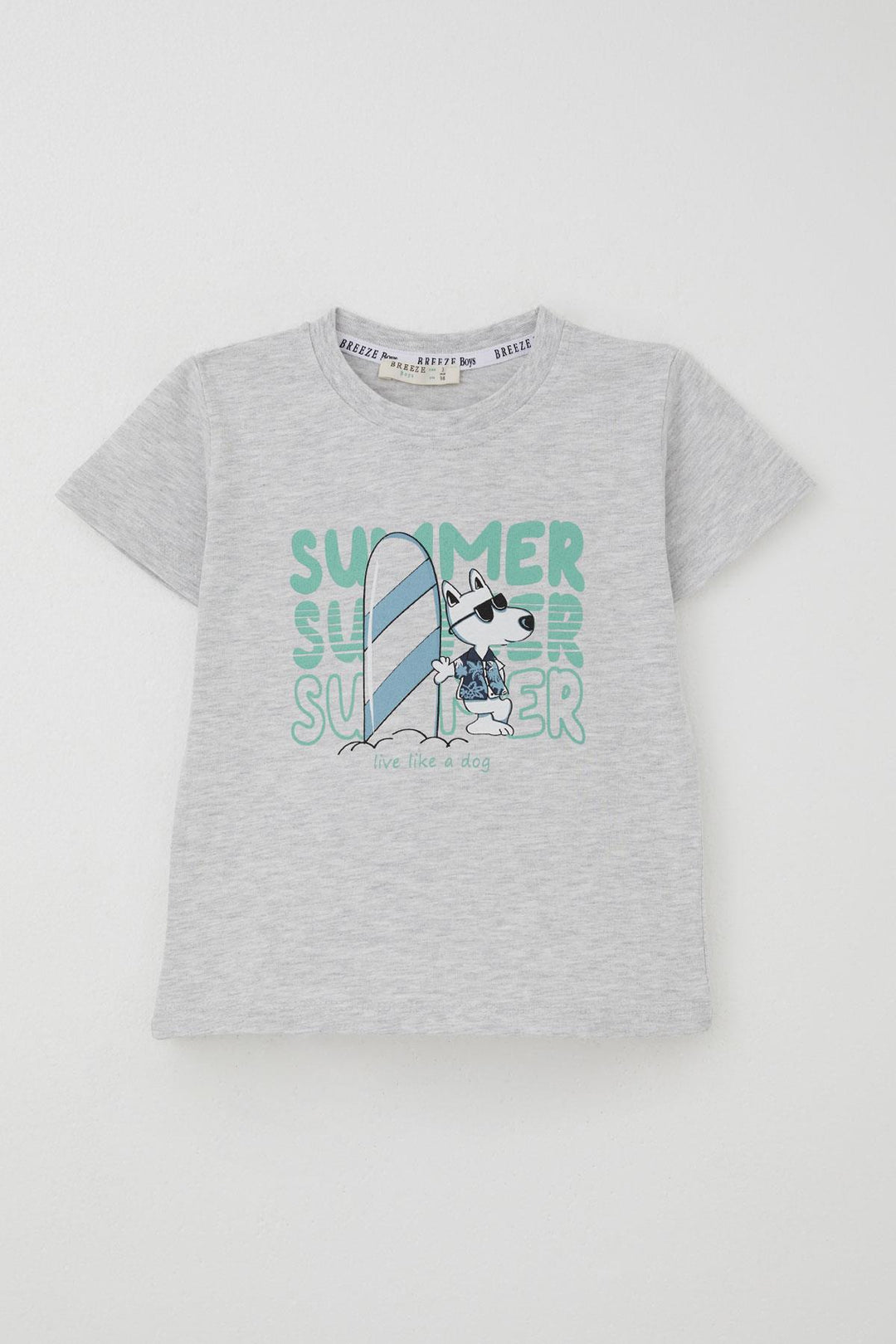 BRE Breeze Erkek Çocuk Şortlu Takım Yaz Temalı Sörfçü Köpekçik Baskılı 2-6 Yaş, Açık Gri Melanj - Tepatitlán de Morelos