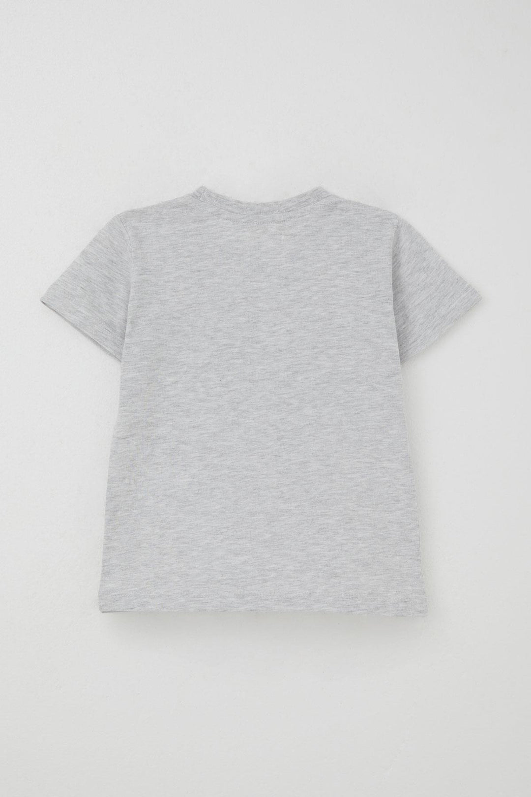 BRE Breeze Erkek Çocuk Şortlu Takım Yaz Temalı Sörfçü Köpekçik Baskılı 2-6 Yaş, Açık Gri Melanj - Tepatitlán de Morelos