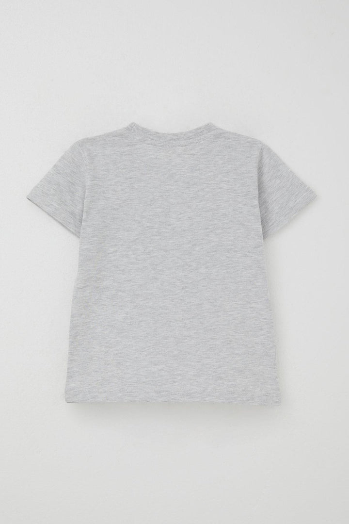 BRE Breeze Erkek Çocuk Şortlu Takım Yaz Temalı Sörfçü Köpekçik Baskılı 2-6 Yaş, Açık Gri Melanj - Tepatitlán de Morelos